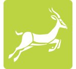 Set de 6 pochoirs enfants, Animaux de la savane - Orange