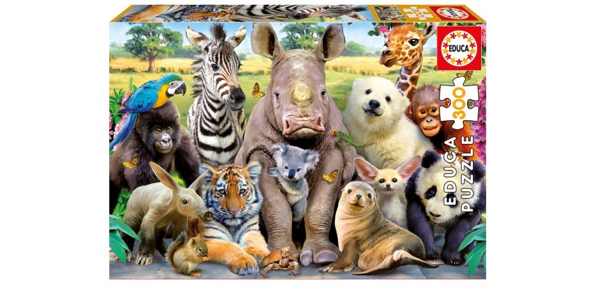 Puzzles carton 300 pieces educa la photo de classe 300  pieces