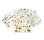 Mini stick maildor 21x16cm 12 themes varies sachet 48       planches 1692 unites