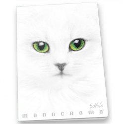 Pigna Monocromo writing notebook A4 19 sheets White
