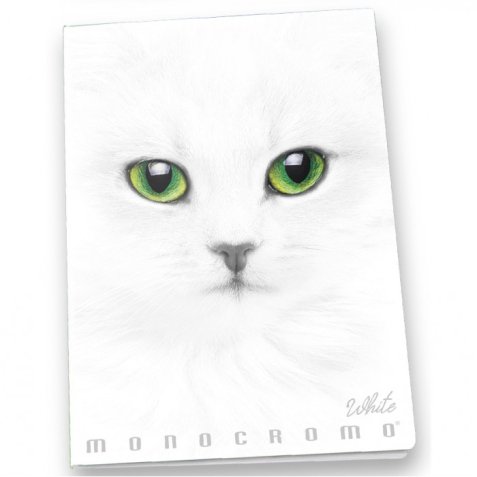 Pigna Monocromo writing notebook A4 19 sheets White