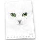 Pigna Monocromo writing notebook A4 19 sheets White