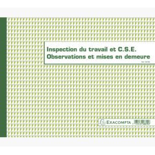 Registre piqûre Inspection du travail, CHSCT, observations, mise en demeure. Format 24x32cm 16p