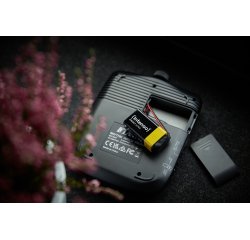 Intenso 7501454 batteria per uso domestico Batteria monouso 6LR61 Alcalino