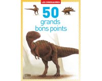 Bon point editions lito les dinosaures 120x140mm boite 50 unites