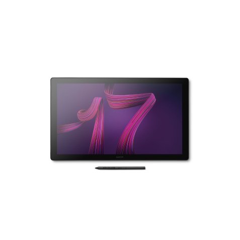 Wacom Cintiq Pro 17 tableta digitalizadora Negro 382 x 215 mm USB