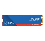 SanDisk Blue WD SA510 250 Go M.2 Série ATA III