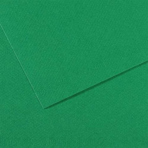 Feuille dessin couleur 50 x 65 cm Tiziano 160g Vert pré