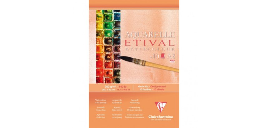 Etival bloc collé 1 côté 10F A3 300g grain fin