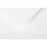 Paquet de 25 cartes 210g POLLEN 10,6x21,3cm. Coloris Blanc