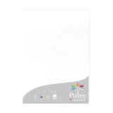 Etui de 25 feuilles 210g POLLEN 21x29,7cm. Coloris Blanc