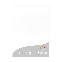 Etui de 25 feuilles 210g POLLEN 21x29,7cm. Coloris Blanc