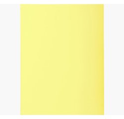 Paquet de 50 chemises 2 rabats SUPER 210 - 24x32cm
