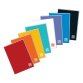 Blasetti 7653 writing notebook A4 96 sheets Assorted colours