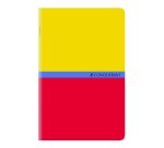 Carnet Conquerant 7 Agrafe 110X170 96P 70G Q5/5 Assorti