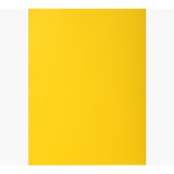Paquet de 100 sous-chemises ROCK'S en carte 80 grammes coloris Jaune citron