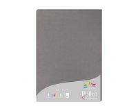 Etui de 25 feuilles Pollen 210x297 210g/m2 - Gris acier