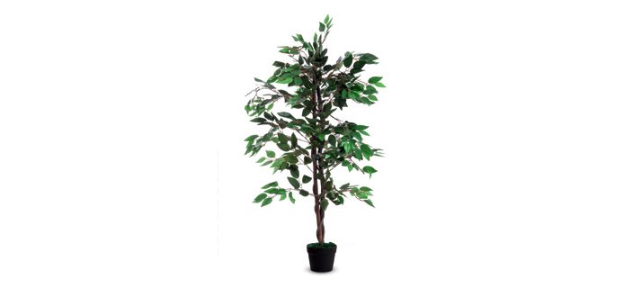 Plante artificielle Ficus feuillage en polyester Vert, livré dans pot standard, Hauteur 120 cm
