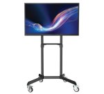 Tripp Lite DMCS3770ROT support pour téléviseur 177,8 cm (70") Noir