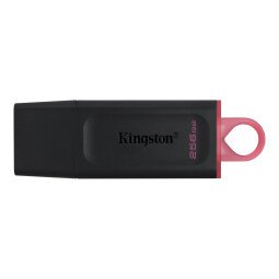 Kingston DataTraveler Exodia - USB flash drive - 256 GB