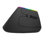 ORDISSIMO ART0425 souris Bureau Ambidextre Bluetooth + USB Type-A Laser