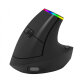 ORDISSIMO ART0425 souris pour droitier Bluetooth + USB Type-A Laser