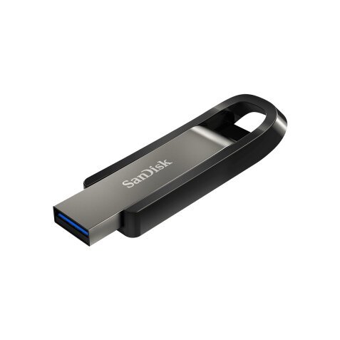 SanDisk Extreme Go lecteur USB flash 256 Go USB Type-A 3.2 Gen 1 (3.1 Gen 1) Acier inoxydable