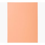 Paquet 50 chemises 2 rabats carte 210g SUPER 250. Coloris bulle