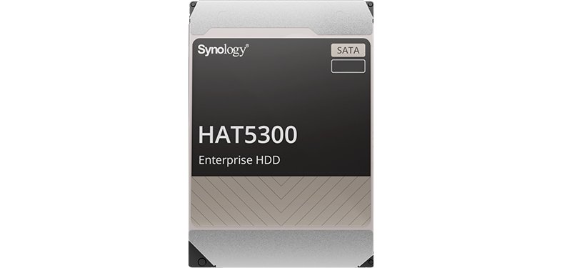 Synology HAT5300 disque dur 12 To 7200 tr/min 256 Mo 3.5" Série ATA III