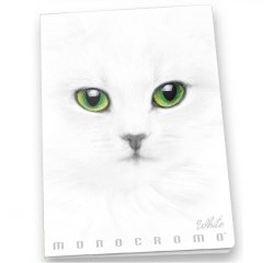 Pigna Monocromo writing notebook A4 19 sheets White
