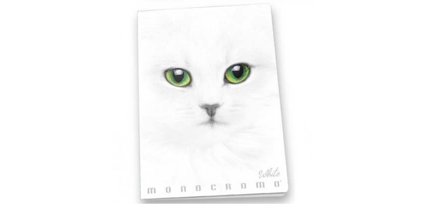 Pigna Monocromo writing notebook A4 19 sheets White