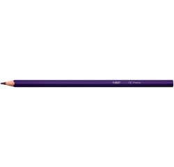 Crayons couleur bic intensity up corps triangulaire pack de 24