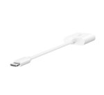Belkin NPA004BTWH hub & concentrateur USB Type-C Blanc