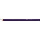 Intensity Crayon de Couleur Triangulaire Mine Douce Corps Coloré Sans Bois - Couleurs assorties x24