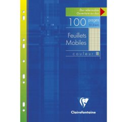 Feuillets mobiles de couleur sous étui A4 100 pages perforées grands carreaux