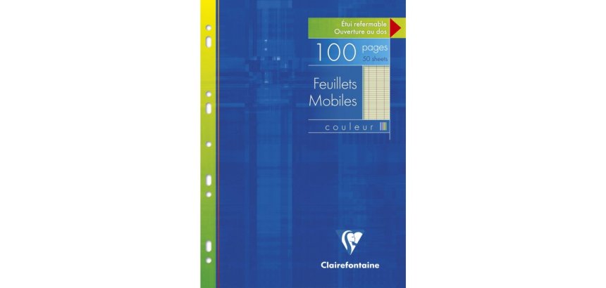 Feuillets mobiles de couleur sous étui A4 100 pages perforées grands carreaux