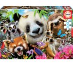 Puzzles carton 300 pieces educa les animaux 300 pieces