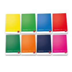 Pigna 02296581R writing notebook A4 18 sheets Multicolour