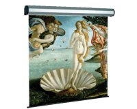 Sopar Electric professional projection screen 3.4 m (134") 1:1