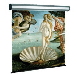 Sopar Electric professional projection screen 3.4 m (134") 1:1