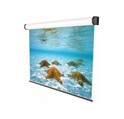 Sopar 5201 projection screen 2.49 m (98") 4:3