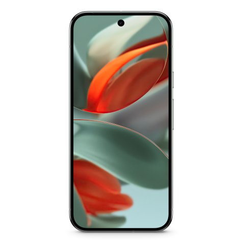 Google Pixel 9 Pro XL 17,3 cm (6.8") Double SIM Android 14 5G USB Type-C 16 Go