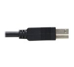 Tripp Lite U328F-15M cavo USB USB 3.2 Gen 1 (3.1 Gen 1) USB A USB B Nero