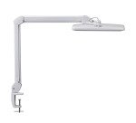 MAULintro LED desk lamp with dimmable white clamp