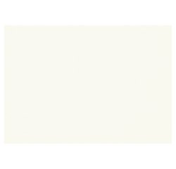 Papier dessin canson feuille mi-teintes n 335 grain        gelatine haute teneur coton   160g 50x65cm unicolore blanc