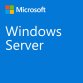 Microsoft Windows Server CAL 2022 Licence d'accès client 1 licence(s)
