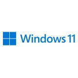 Microsoft Windows 11 Pro Produit complètement emballé (FPP) 1 licence(s)