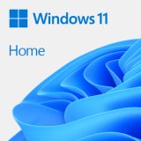Microsoft Windows 11 Home / Famille licence OEM Format DVD