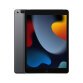 Apple 10.2-inch iPad Wi-Fi + Cellular - 9. Generation - Tablet - 256 GB - 25.9 cm (10.2") - 3G, 4G