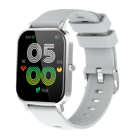 Reloj smartwatch Denver SW-181GREY Relojes inteligentes y deportivos 4,29 cm (1.69") IPS Plata Renovado